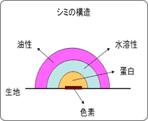 しみの構造